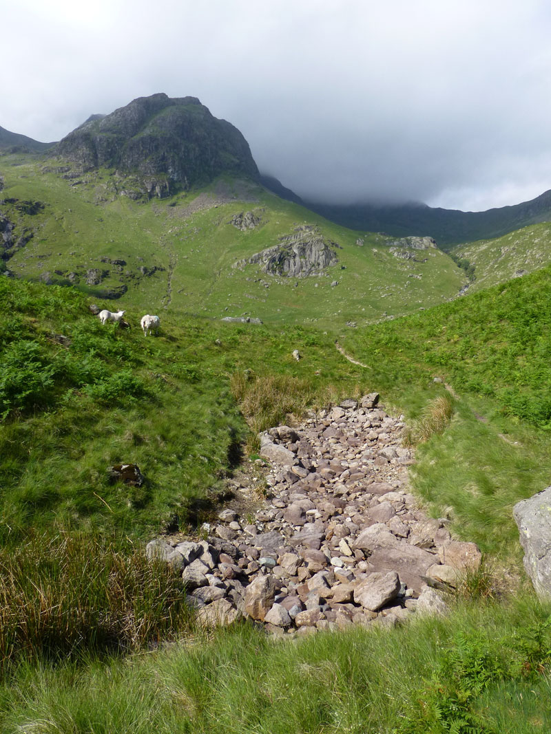 Dry Tarn