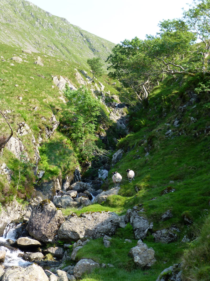 Pasture Beck Waterfalls