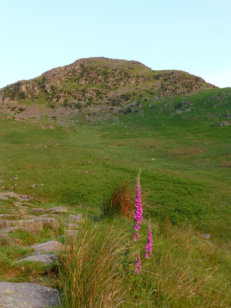 Birkhouse Moor