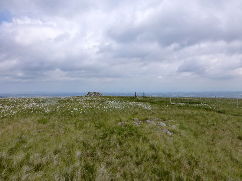 Selside Pike Summit