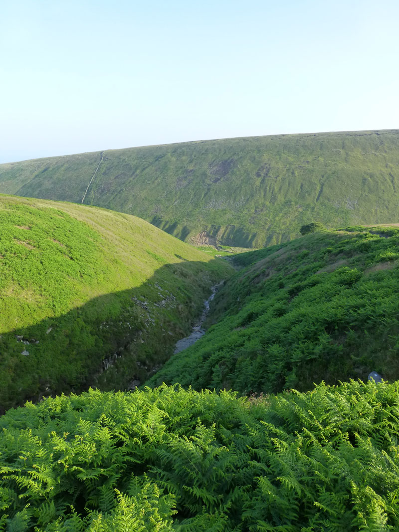 boar Clough