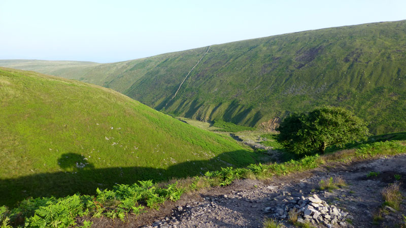 Ogden Clough