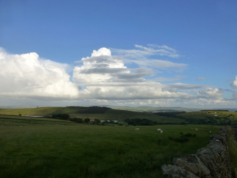 Large Cloud