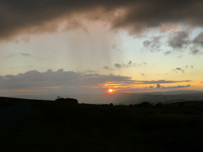 Sun and Shower