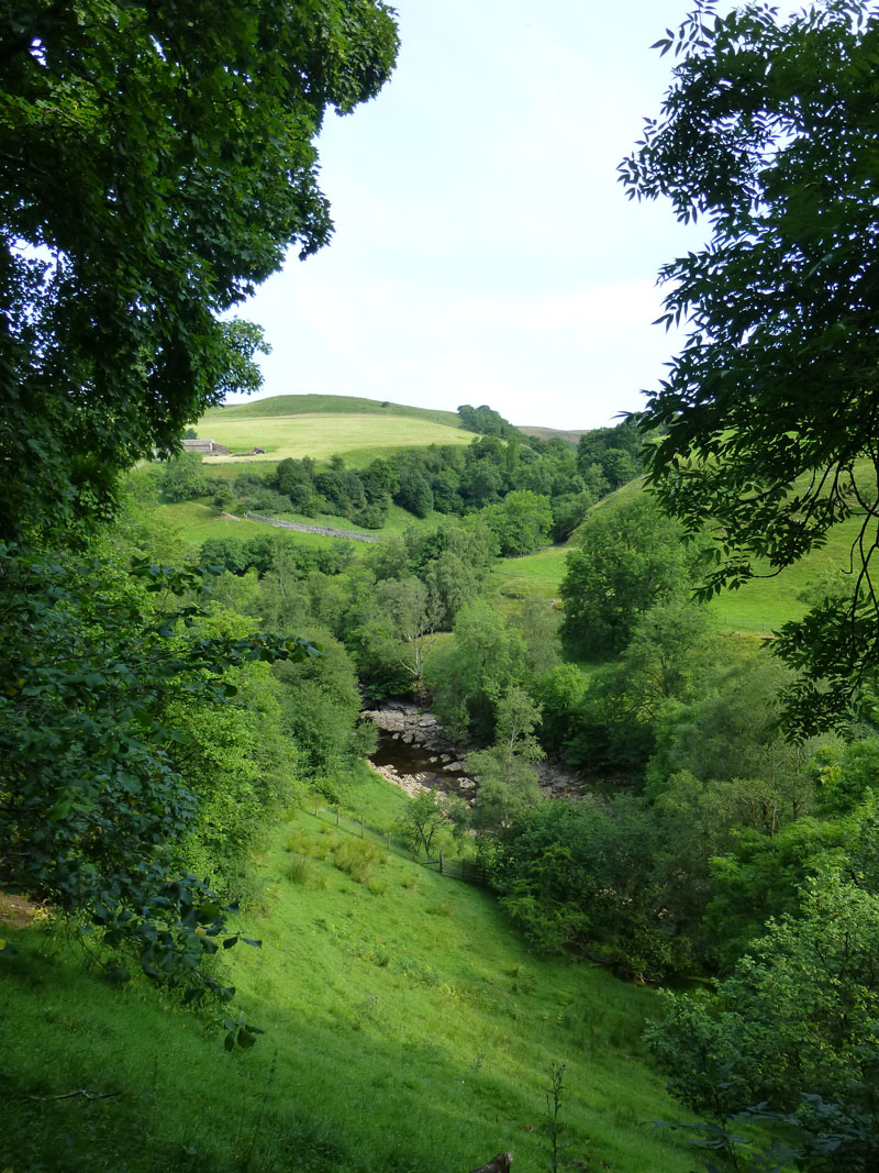 Swaledale View