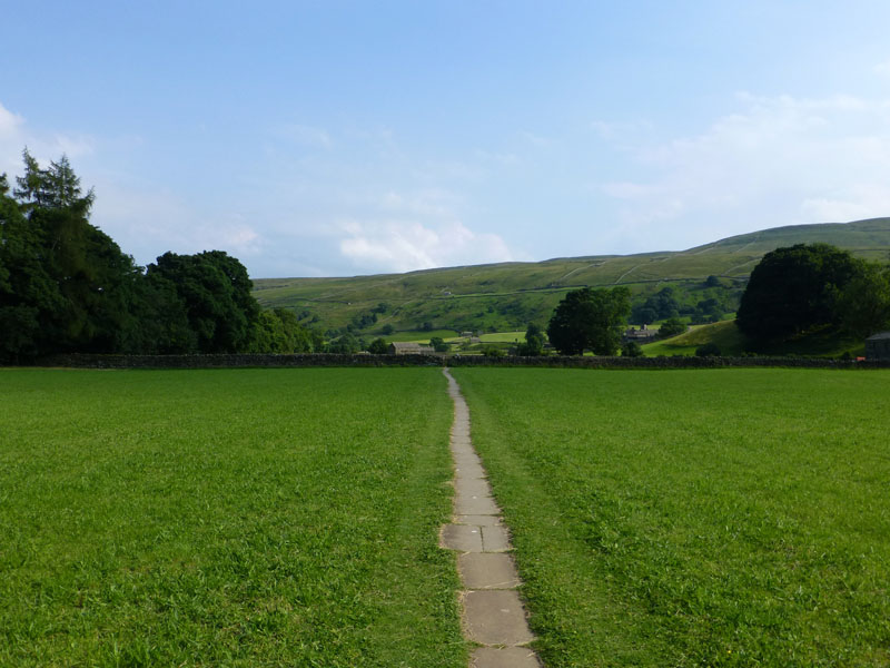 The Meadows