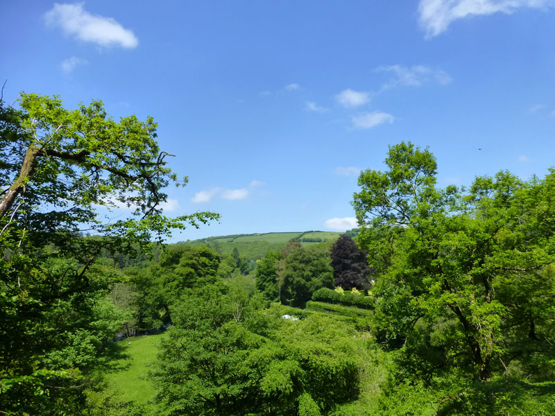 Court Down from Burridge Wood