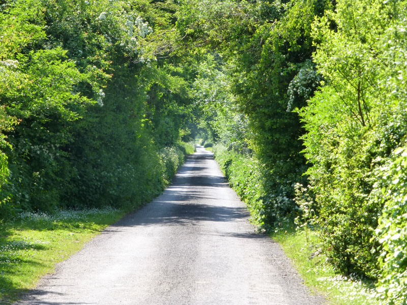 The West Somerset Mineral Railway