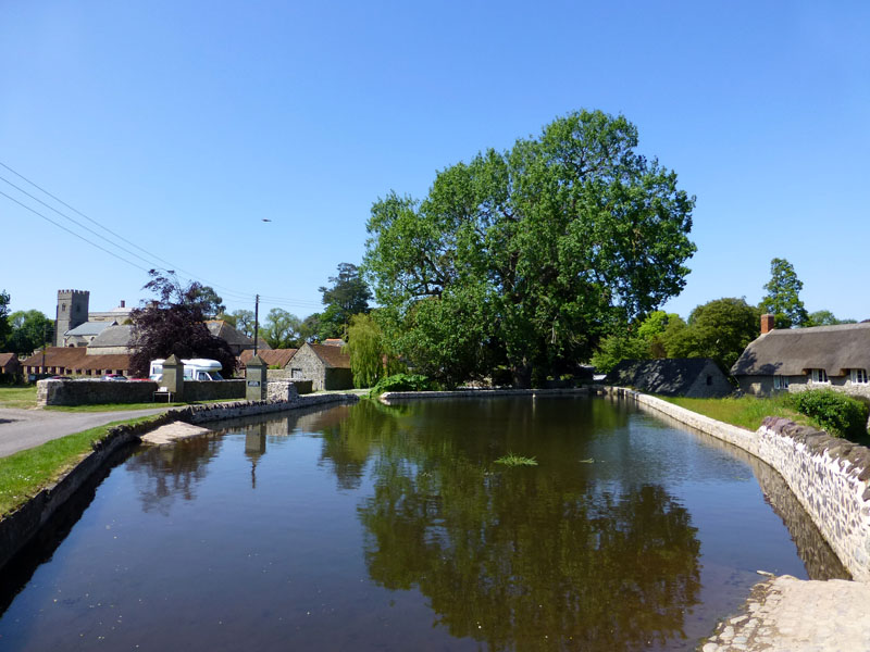 Village Pond