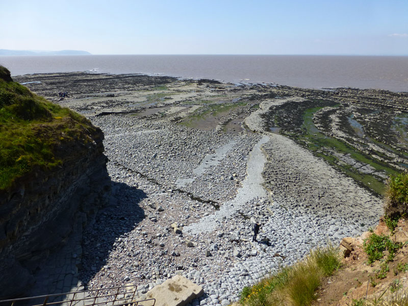 Coast at East Quantoxhead