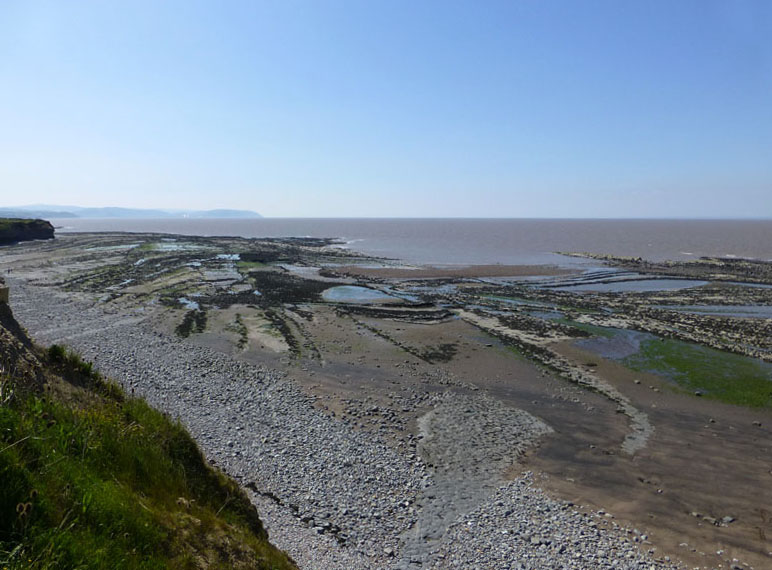 Quantoxhead Shoreline