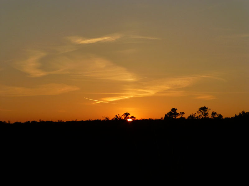 Sunset on Exmoor