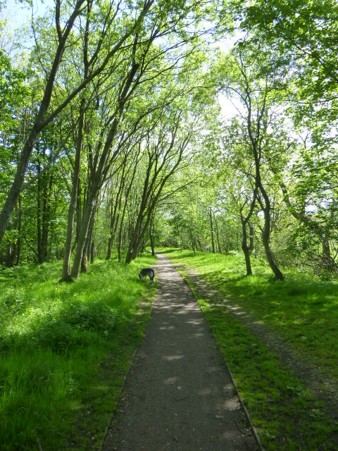 Stainmore Line