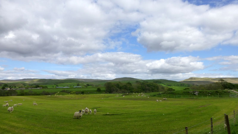 North Pennine Fells