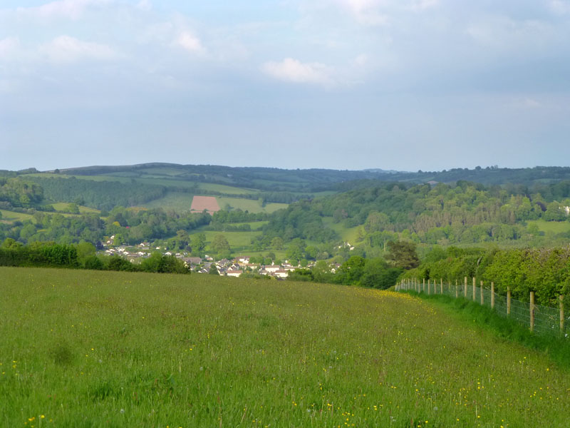 Dulverton fields