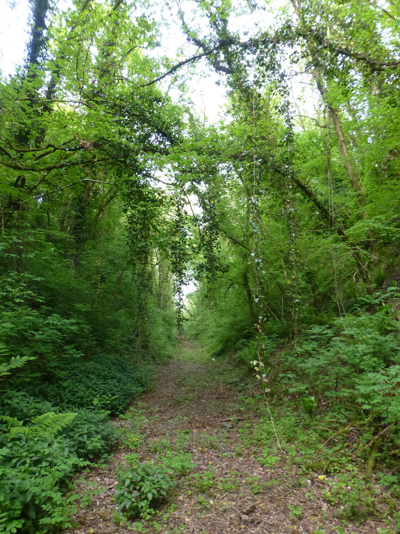 Tiverton to Barnstaple Line