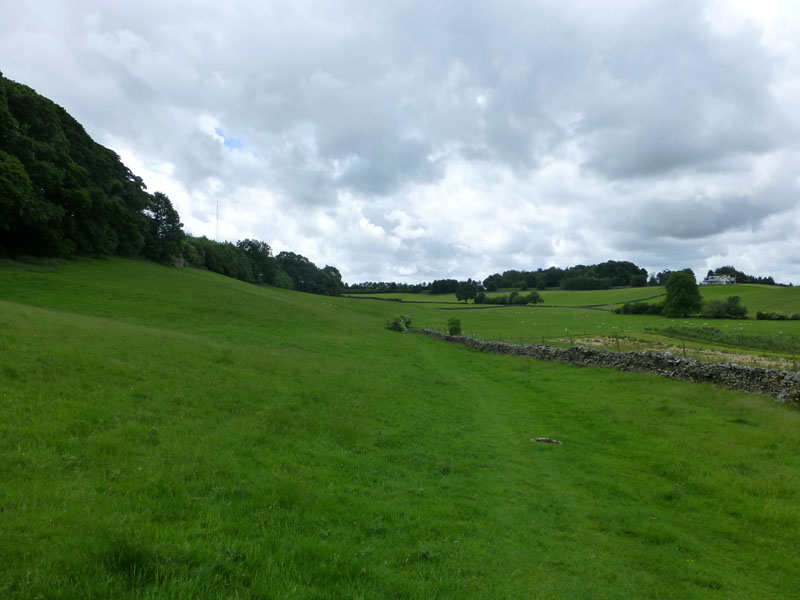 Oxenholme field
