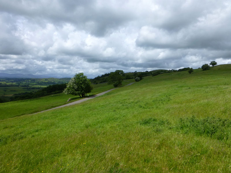 Helsington Burrows