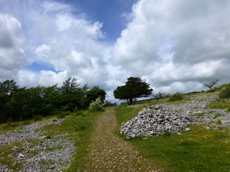 Helsington Barrows