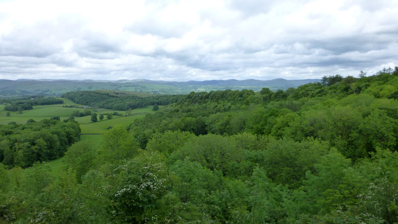 Crunswick Scar