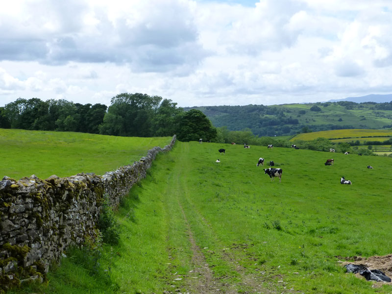 Gamblesmire Lane