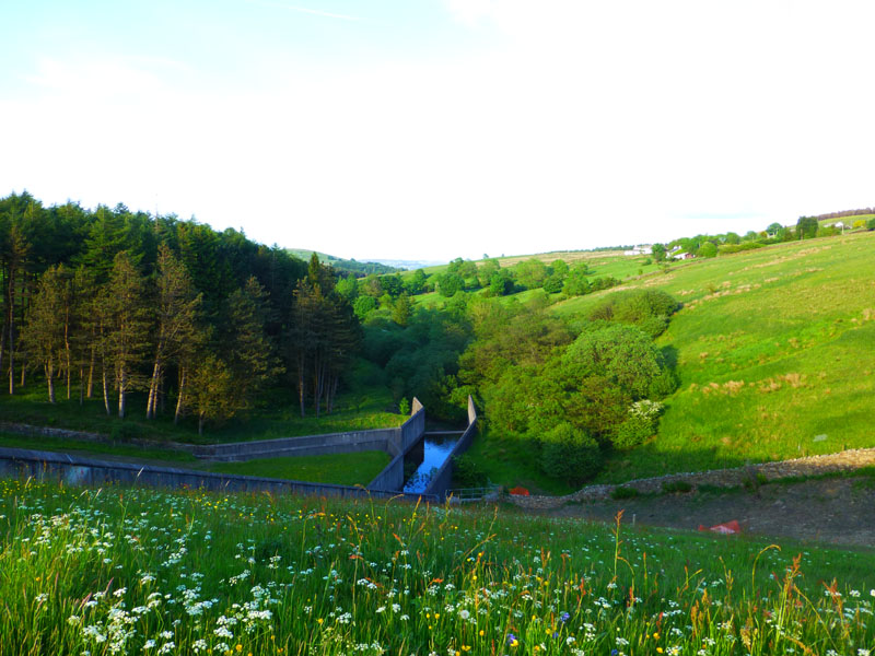 Ogden Clough