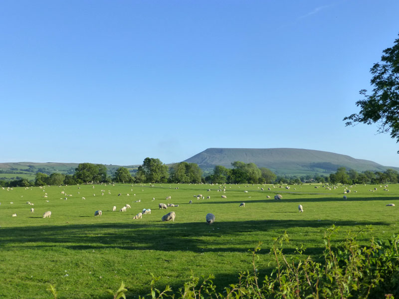 Pendle from Gisburn