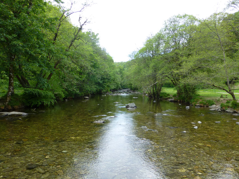 River Barle