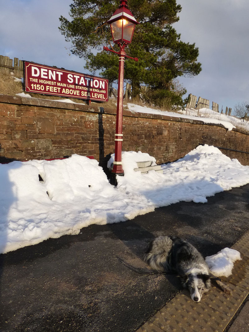 Dent Station