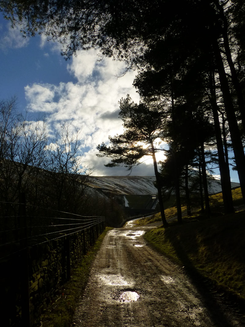 Pendle Walk