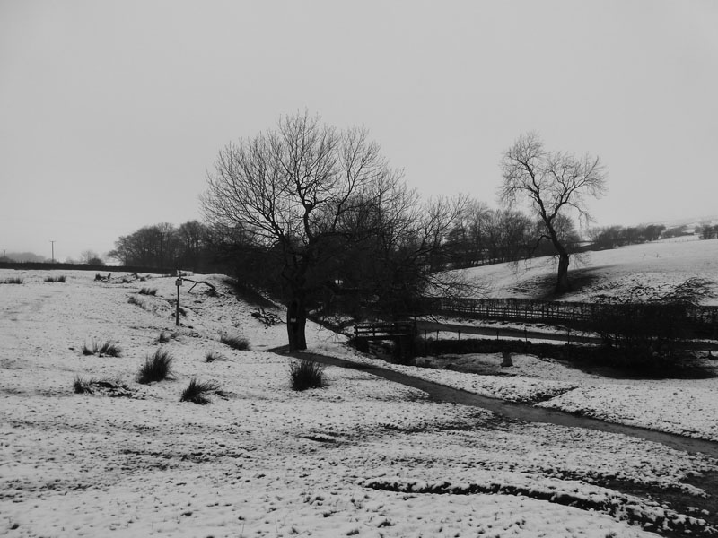 Pendle Walk