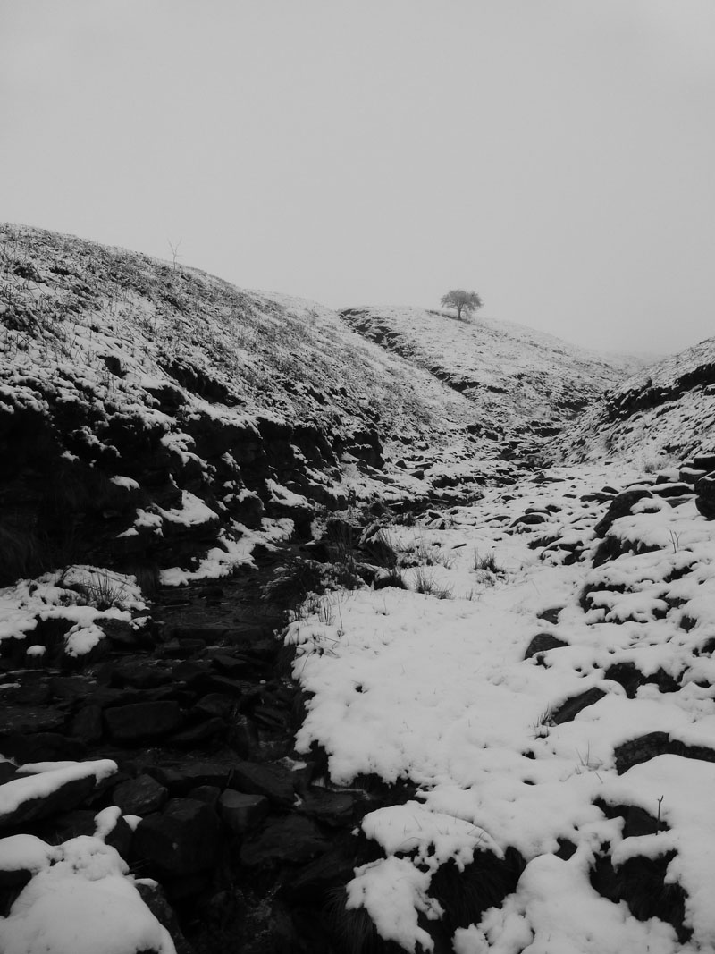 Boar Clough