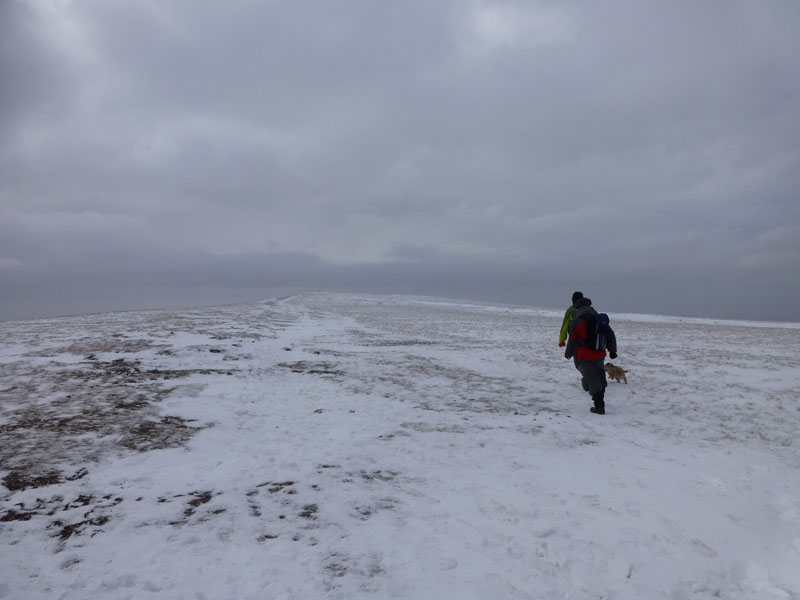 The Summit Plateau