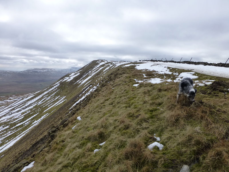 Whernside Edge