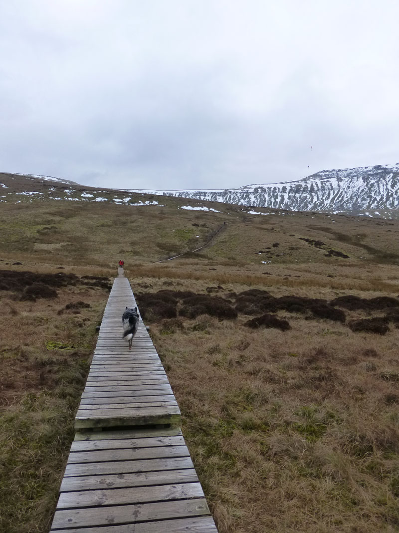 The Boardwalk