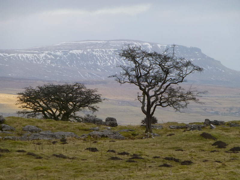 Pen-y-Ghent