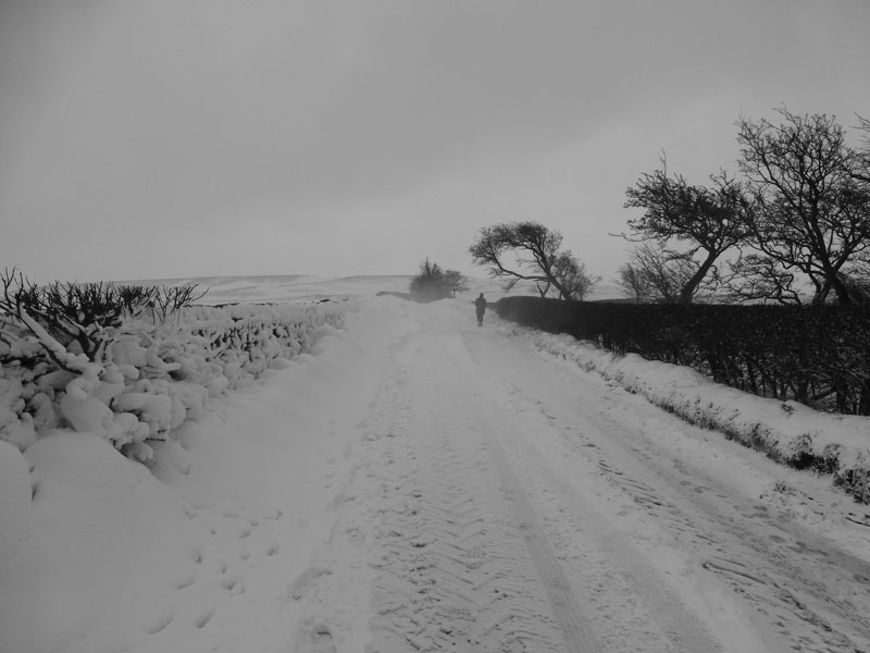 Ridge Lane