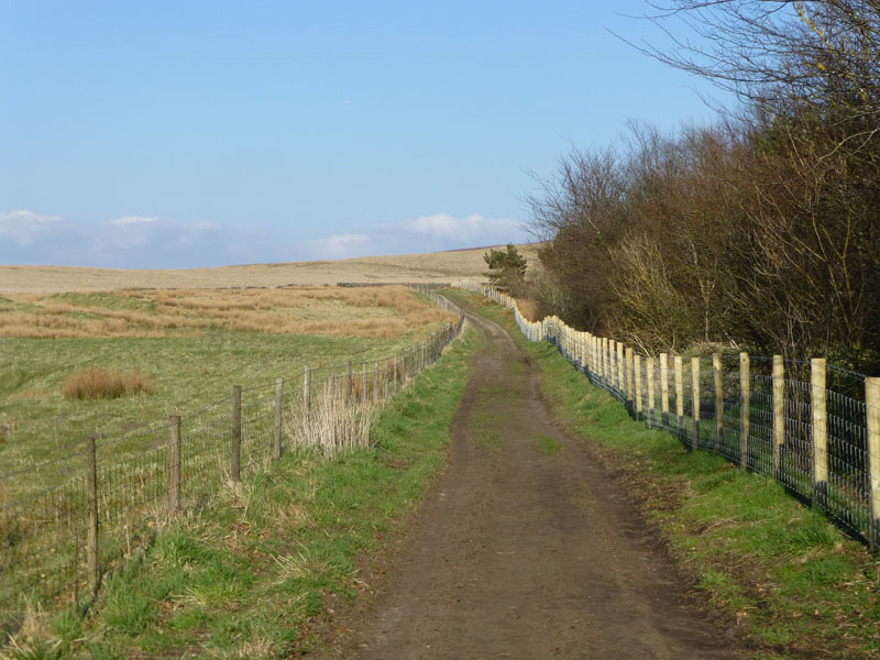 Coldwell Reservoirs