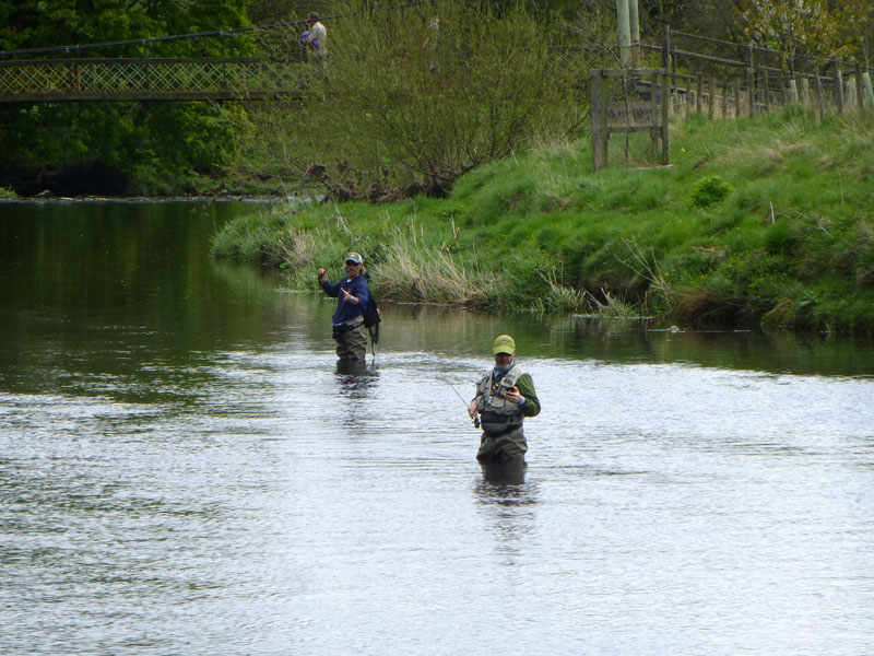 Anglers