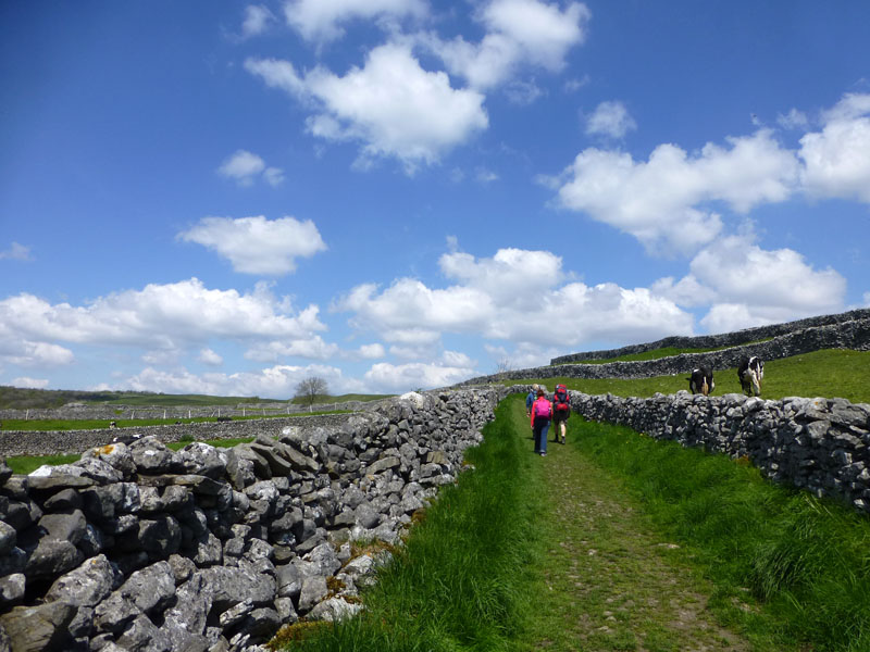 Country Lane