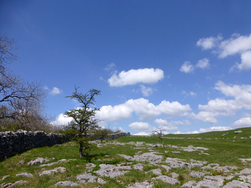 Limestone Pavement