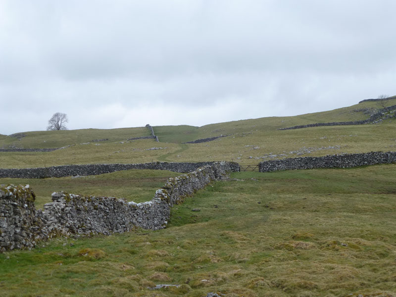 Yorkshire Fields