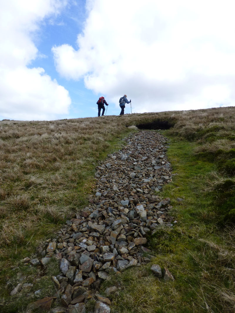 Sheep Scar