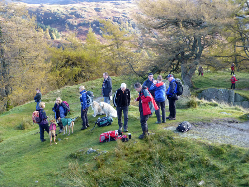 Online Fellwalking Club