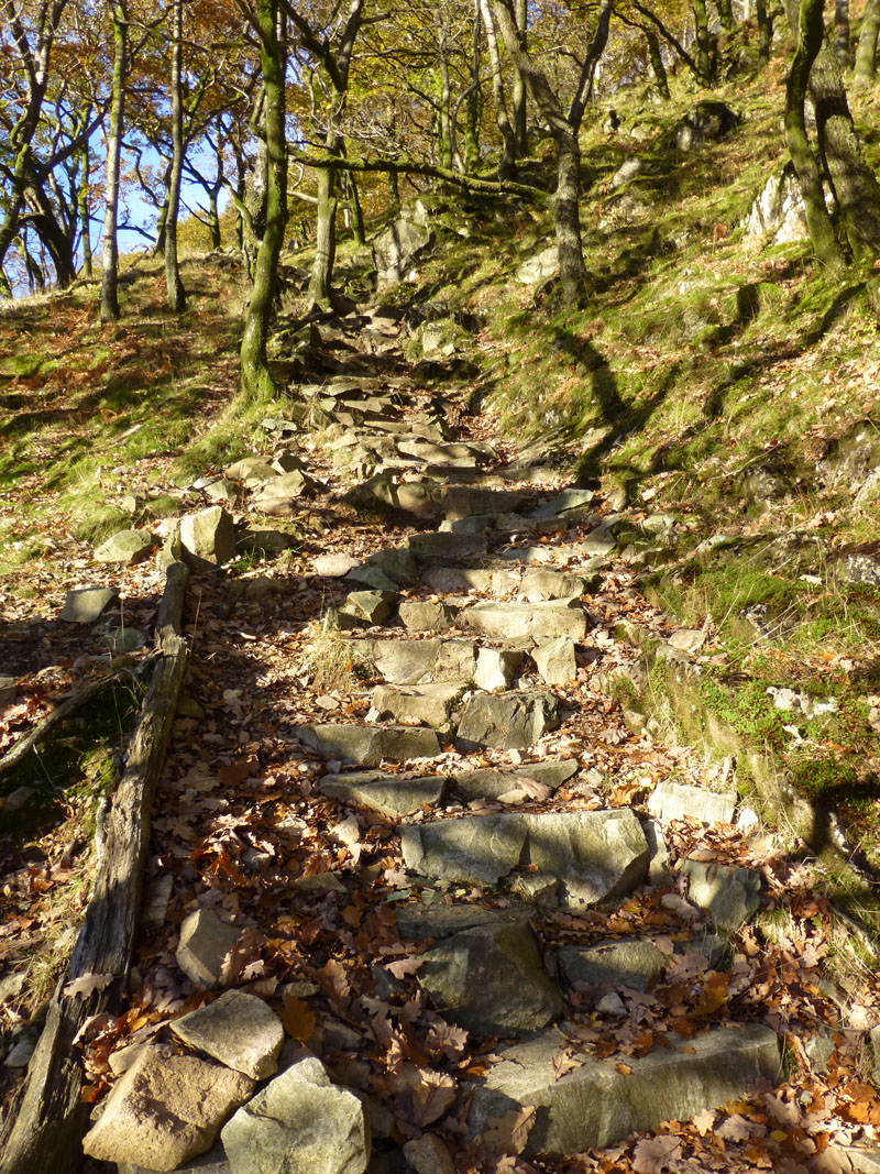 Steps to Dock Tarn