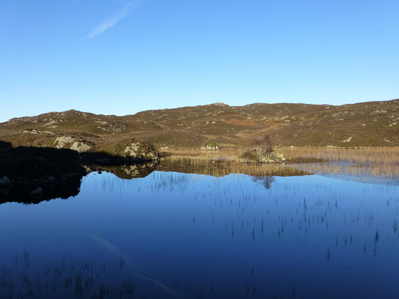 Dock Tarn