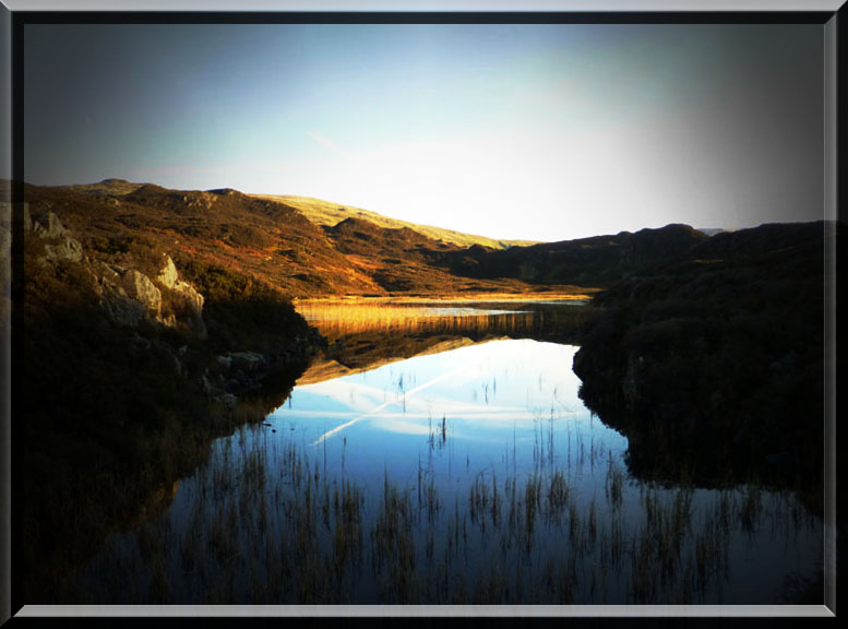 Dock Tarn