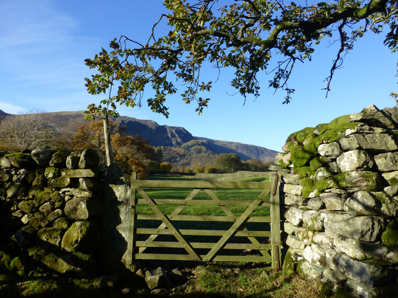 Gate