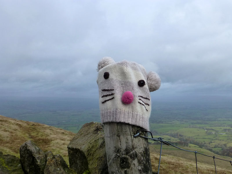 Pendle Hat