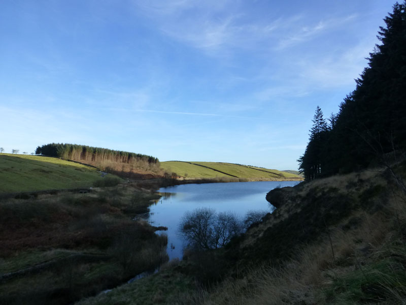 Lower Ogden Res